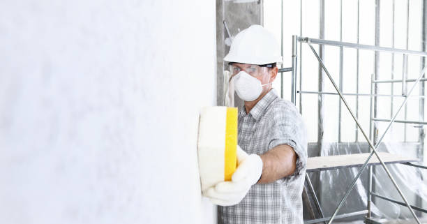 Why You Should Choose Our Mold Remediation Services in Owens Cross Roads, AL